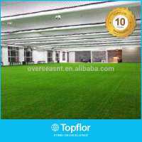 Indoor Grass Carpet/Indoor Soccer Field for Sale