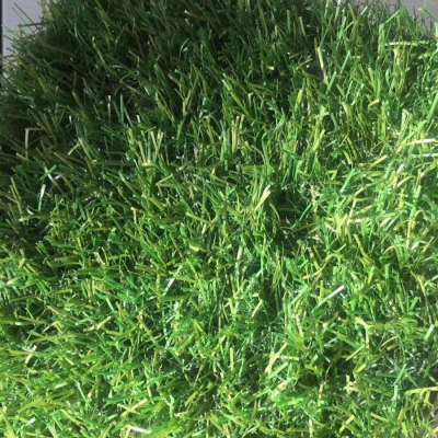 soccer field artificial grass