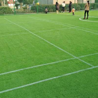 sport grass for soccer