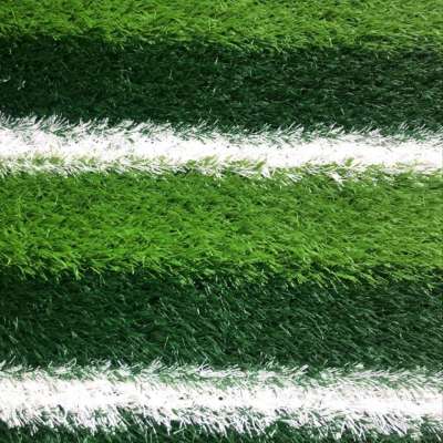 landscape artificial grass